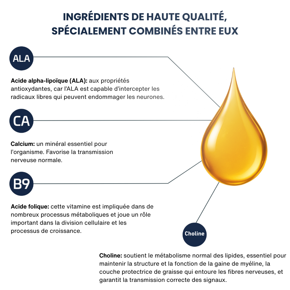 Nevra - Complexe de micronutriments naturel pour la santé des nerfs